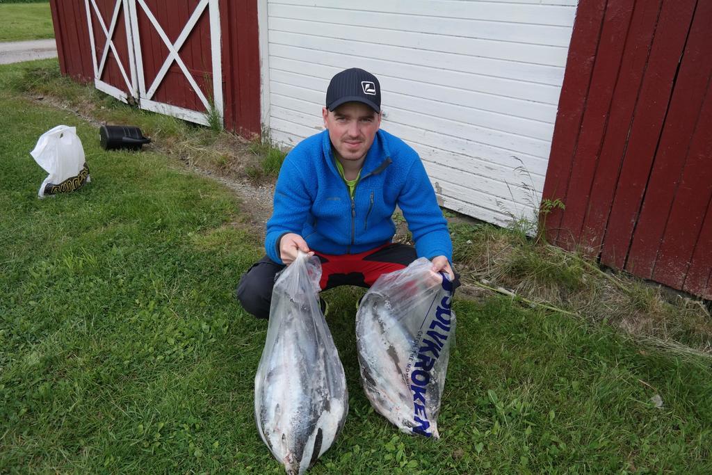 Holmset Camping And Fishing Namdalseid Eksteriør bilde